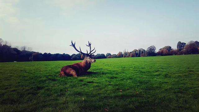 ȥ������W(xu��)���W(xu��)�v����Ո(q��ng)Ҫ������Щ