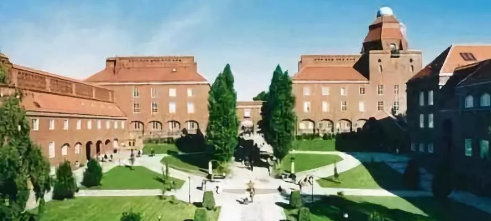 �������W(xu��)�猣�I(y��)֪�R����