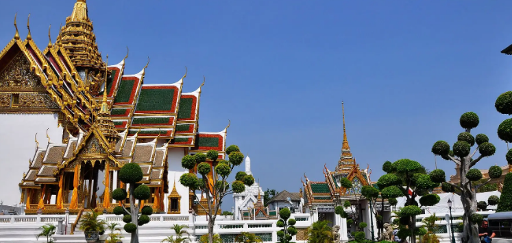 ̩����W��Ҫ��Щ�l��