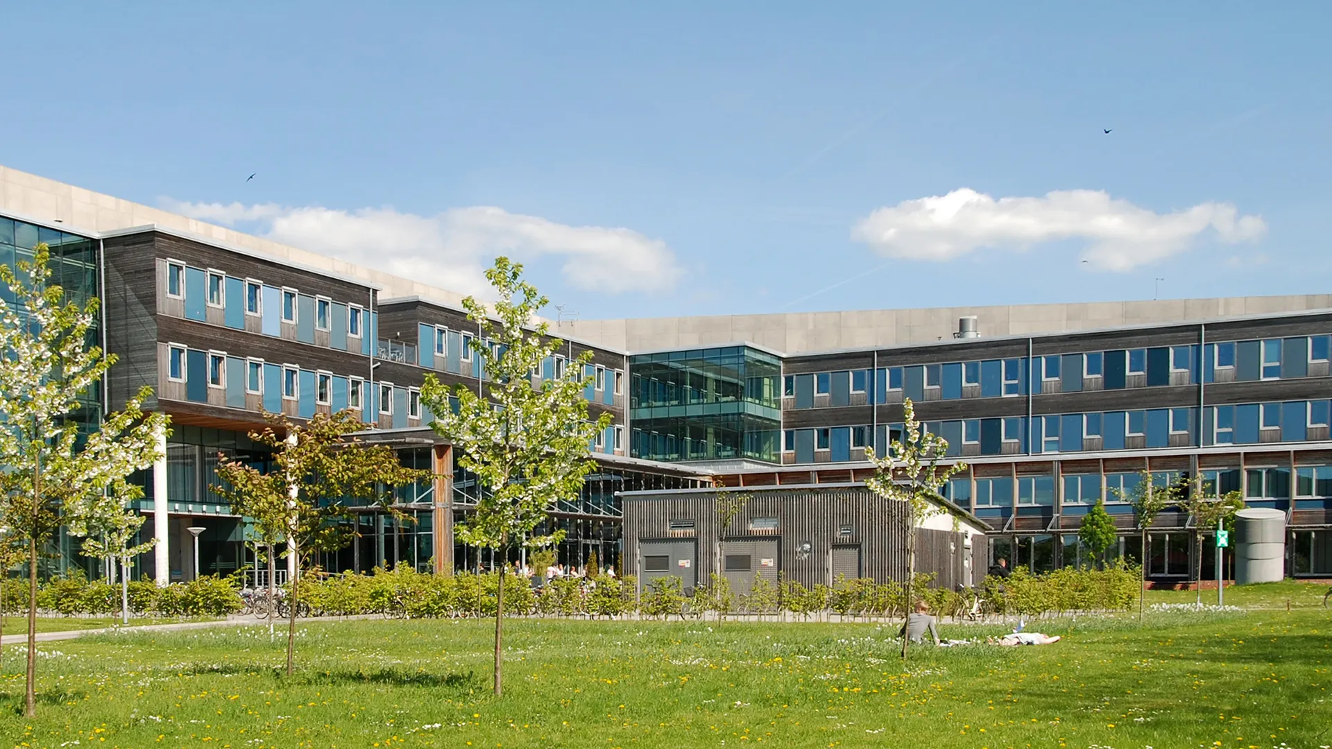 ���ȥ�����W(xu��)��(y��ng)ԓ��ô�x��W(xu��)У