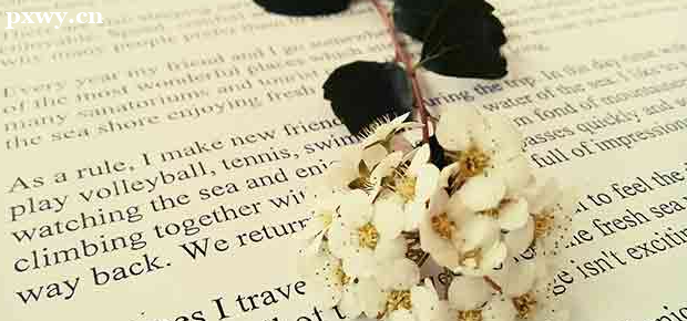 210�������ܿ���ʲô��W(xu��)? ���k��(zhu��n)�ƌW(xu��)У����Щ