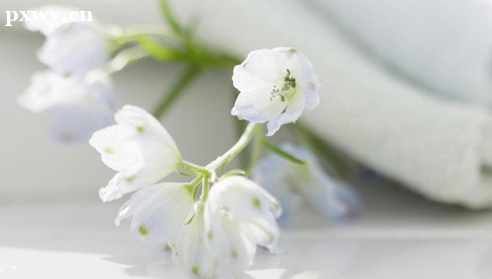 һ��������һ�����I(y��)��