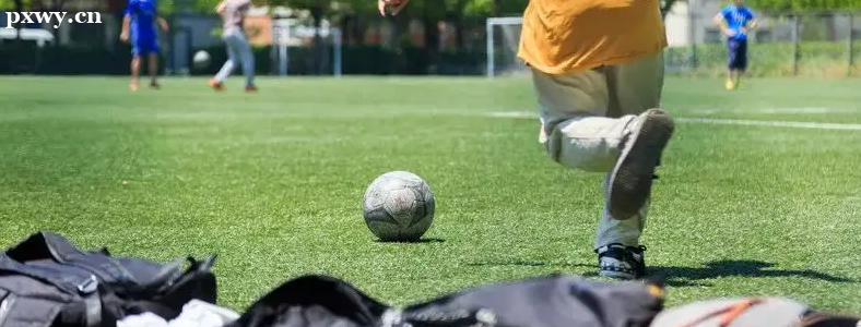 ����ӆ���w���������w����Ŀ�{������ЌW�I(y��)ˮƽ��ԇ