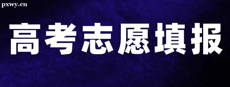 2022�������߿�