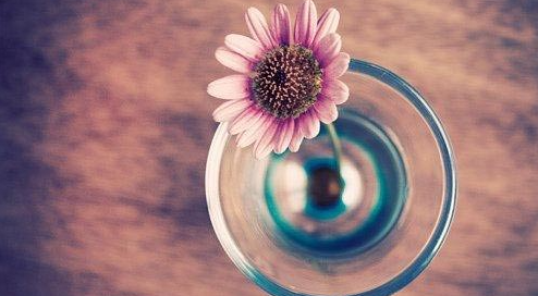 ��(gu��)�_�������W(xu��)�M(f��i)8000�F��