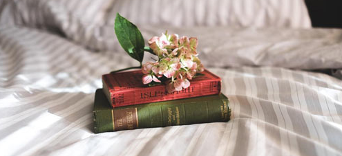 ��������k�W(xu��)�n�̌W(xu��)��(x��)���g���ǲ���Ӣ�Z�����Ć�