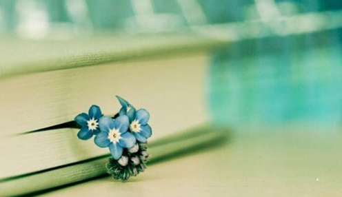 ȥ�������W(xu��)��Ո(q��ng)����