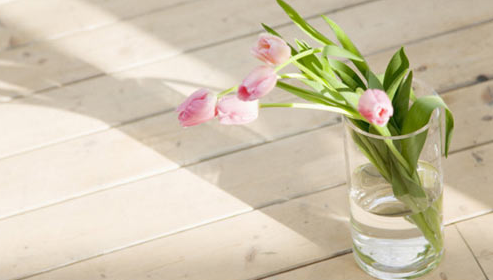 ������Tʿ��W��Ո����