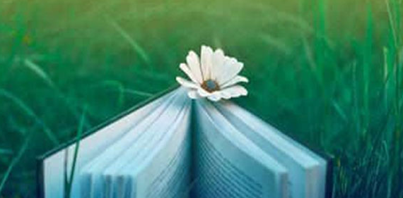 �x���I(y��)�Tʿ���о�����Ҫ���ӵ�����