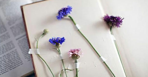 ��I(y��)��Ҏ(gu��)���C���(y��n)�C��(y��u)��(sh��)����Щ