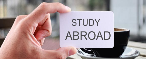 ̩���о�����W(xu��)�ă�(y��u)������Щ