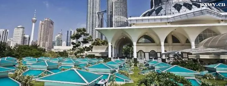 ȥ�R��������W�н��M�����X