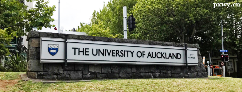 �����m�W���m��W(xu��)����Щ��(y��u)�݌��I(y��)