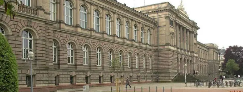 ȥ����(gu��)��W(xu��)�ėl����ʲô