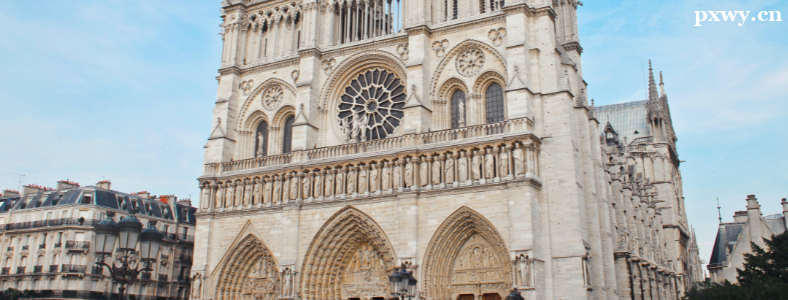 ȥ������W(xu��)�M(f��i)�ô�Ŷ���