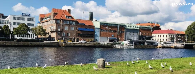 �����W(xu��)��Ҫʲô�l��������Ո