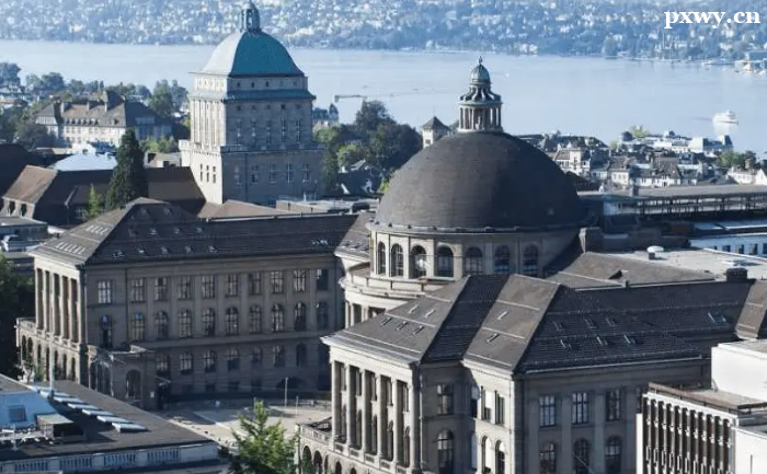 ��ʿ��W�x�еėl����ʲô