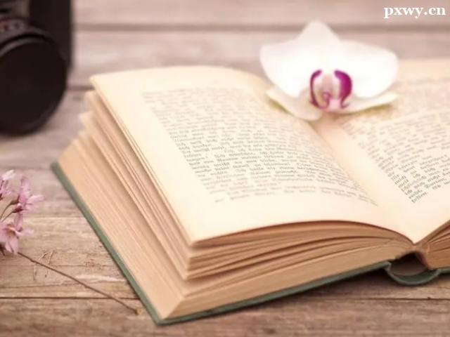 ����(gu��)��W(xu��)�и���ԇҪ����ʲô