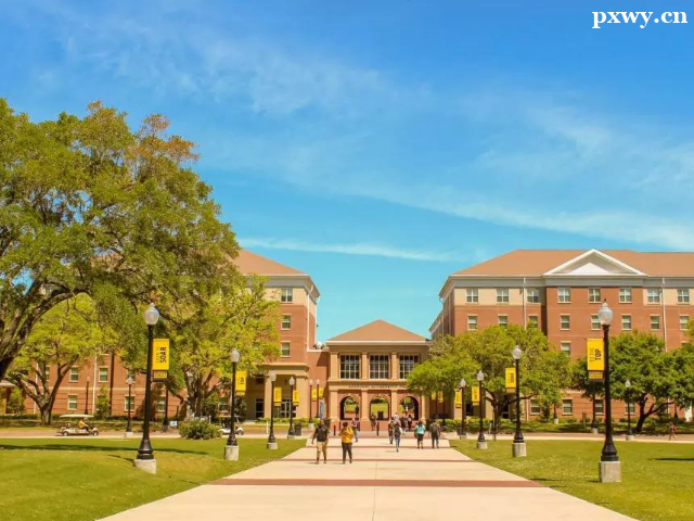 ������Ո��W�о���������