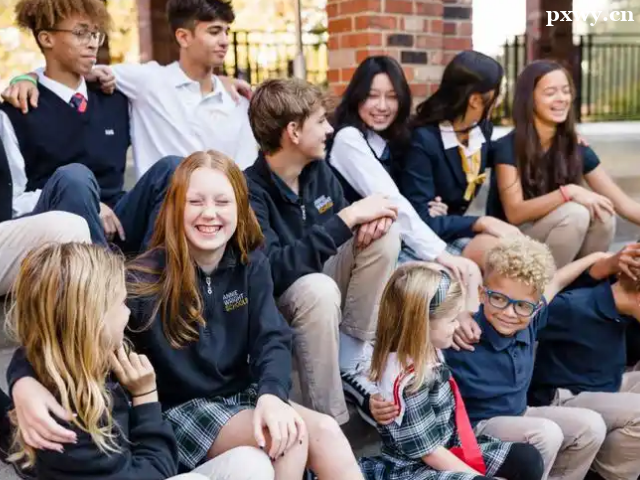 OSSD��ALevel��Ո��W(xu��)�Ă�(g��)��ռ��(y��u)��