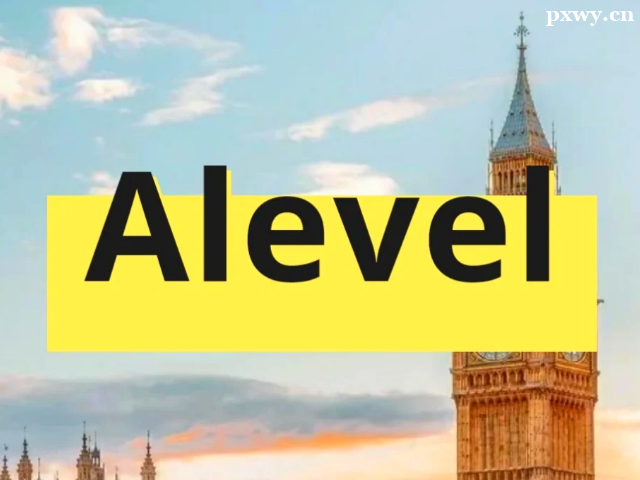 ���ALEVEL��Ӗ(x��n)������Ҫ�����X