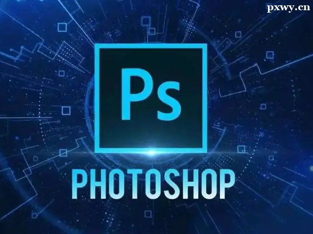 �WPS����Щ���^�õ���Ӗ��