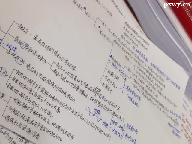 ���������o�����l�Һ�