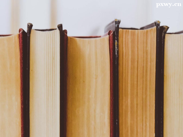 ���������o�����l�Һ�