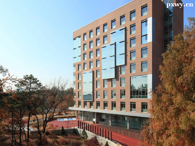 ������W�M�õ͵ć�������Щ