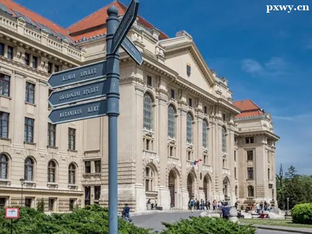 ��������W(xu��)�������߆�