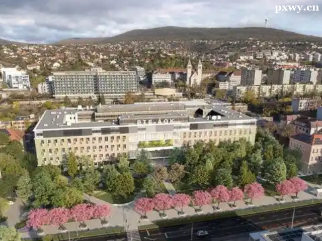 ��������W(xu��)�������߆�