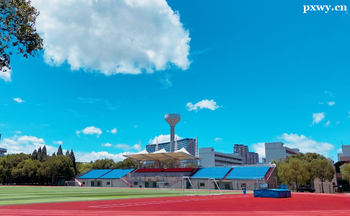 ���MPAcc�o��(d��o)��,�Ă����^��